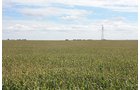 Property photo 5 - LAND AUCTION, 3255+/- Acres offered in 13 Tracts